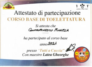 Attestato di partecipazione Corso Base di Toelettatura