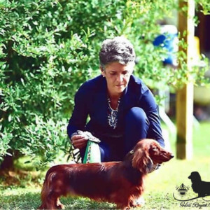 Mihaela Costantinescu e Bassotto a pelo lungo