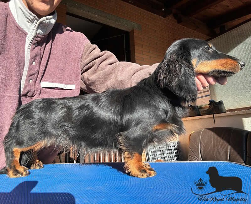 Nala del Dolce Taro